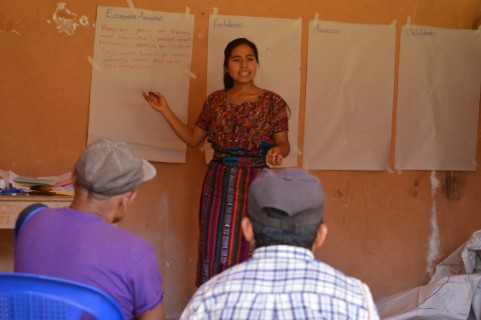 Talleres sobre construcción de documentos.